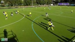 Hockeyvideos.de - Highlights - 2. Feldhockey-Bundesliga Herren Herren - SWN vs. MSC - 14.09.2019 17:00 h