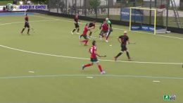 Hockeyvideos.de - Highlights - 2. Feldhockey Bundesliga Herren - DSD vs. CHTC - 21.05.2022 15:00 h